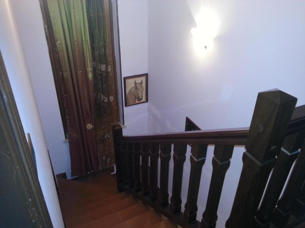 Alexander Bed And Breakfast Ciampino Kültér fotó